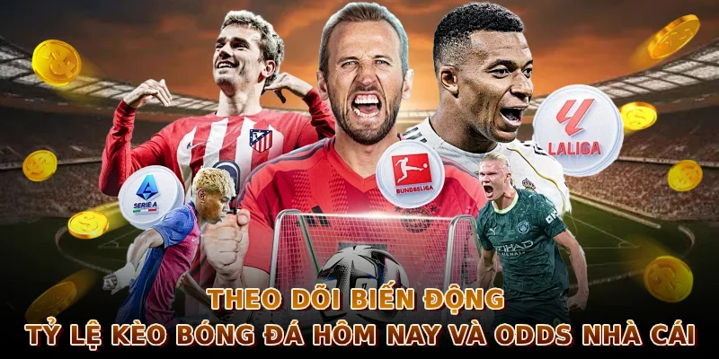 Theo dõi biến động tỷ lệ kèo bóng đá hôm nay và odds nhà cái