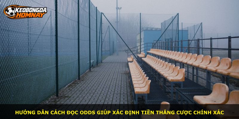 Hướng dẫn cách đọc odds giúp xác định tiền thắng cược chính xác
