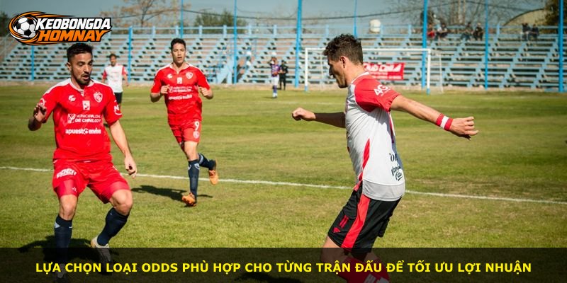 Lựa chọn loại odds phù hợp cho từng trận đấu để tối ưu lợi nhuận