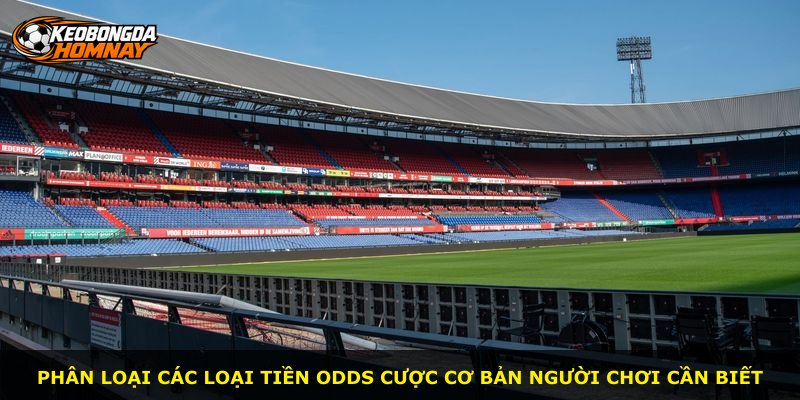 Phân loại các loại tiền odds cược cơ bản người chơi cần biết