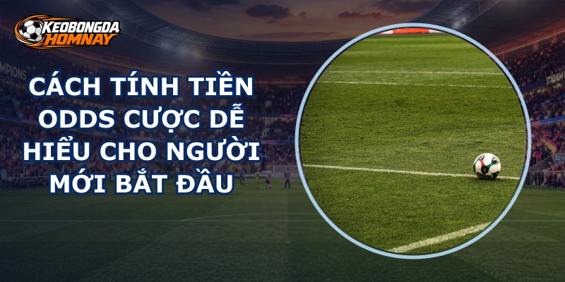 Cách Tính Tiền Odds Cược
