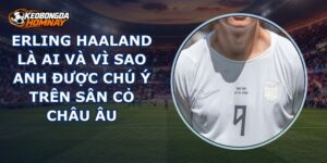 Erling Haaland Là Ai