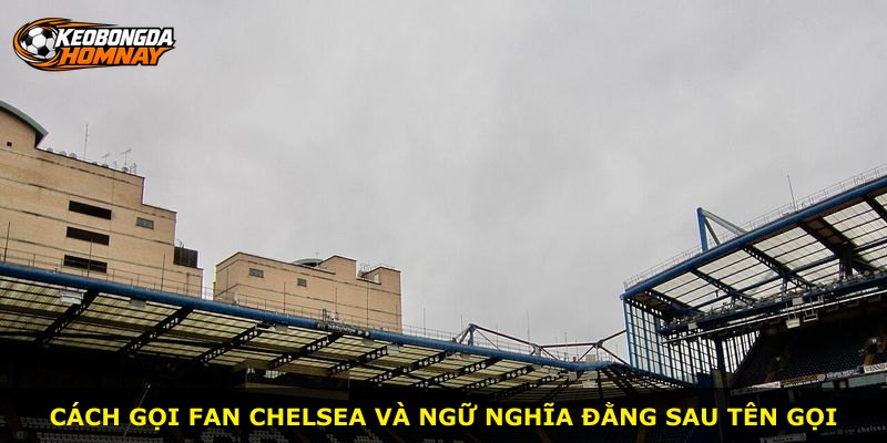 Cách gọi fan Chelsea và ngữ nghĩa đằng sau tên gọi