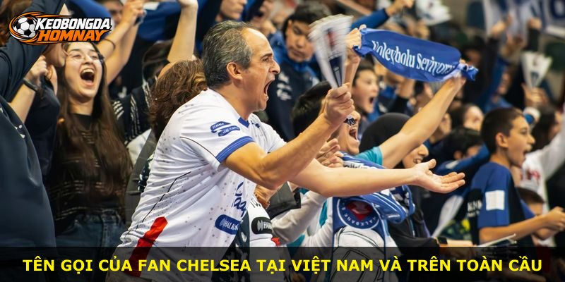 Tên gọi của fan Chelsea tại Việt Nam và trên toàn cầu
