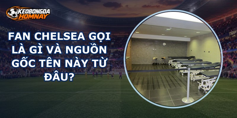 Fan Chelsea Gọi Là Gì