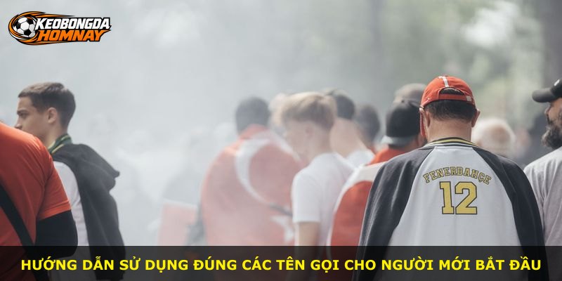 Hướng dẫn sử dụng đúng các tên gọi cho người mới bắt đầu