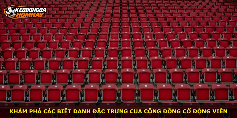 Khám phá các biệt danh đặc trưng của cộng đồng cổ động viên