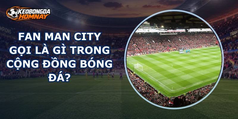 Fan Man City Gọi Là Gì