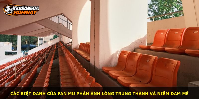 Các biệt danh của fan MU phản ánh lòng trung thành và niềm đam mê