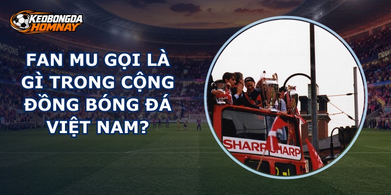 Fan Mu Gọi Là Gì