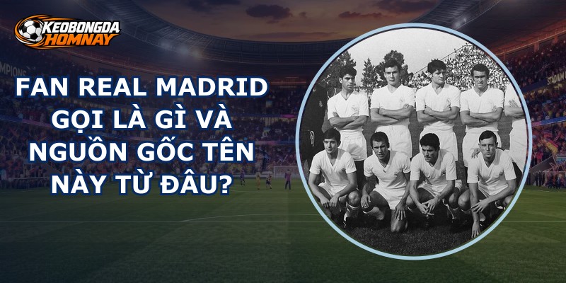 Fan Real Madrid Gọi Là Gì