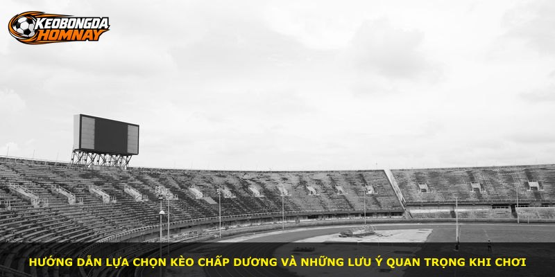 Hướng dẫn lựa chọn kèo chấp dương và những lưu ý quan trọng khi chơi