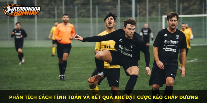Phân tích cách tính toán và kết quả khi đặt cược kèo chấp dương