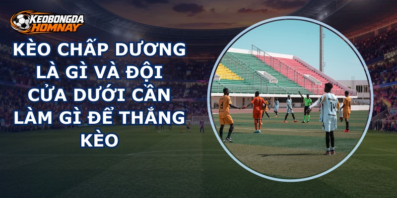 Kèo Chấp Dương Là Gì