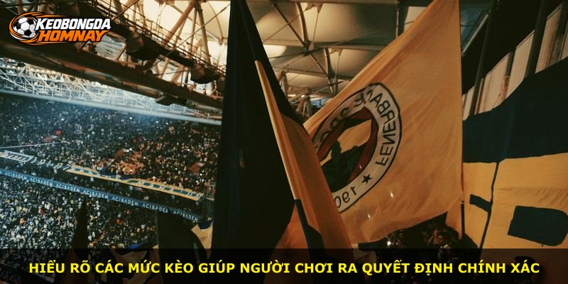Hiểu rõ các mức kèo giúp người chơi ra quyết định chính xác