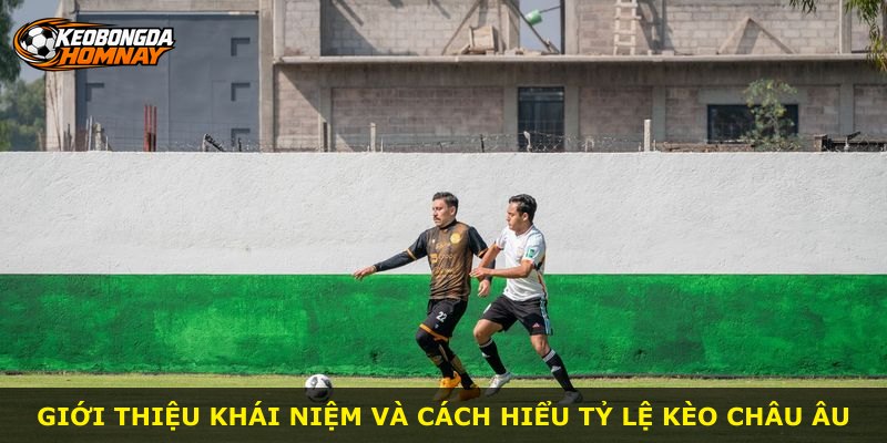 Giới thiệu khái niệm và cách hiểu tỷ lệ kèo Châu Âu