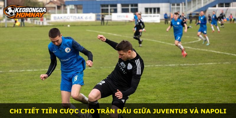 Chi tiết tiền cược cho trận đấu giữa Juventus và Napoli