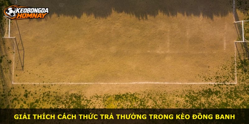 Giải thích cách thức trả thưởng trong Kèo Đồng Banh
