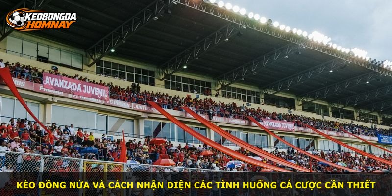 Kèo Đồng Nửa và cách nhận diện các tình huống cá cược cần thiết
