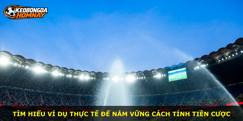 Tìm hiểu ví dụ thực tế để nắm vững cách tính tiền cược