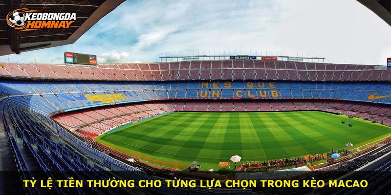 Tỷ lệ tiền thưởng cho từng lựa chọn trong kèo Macao