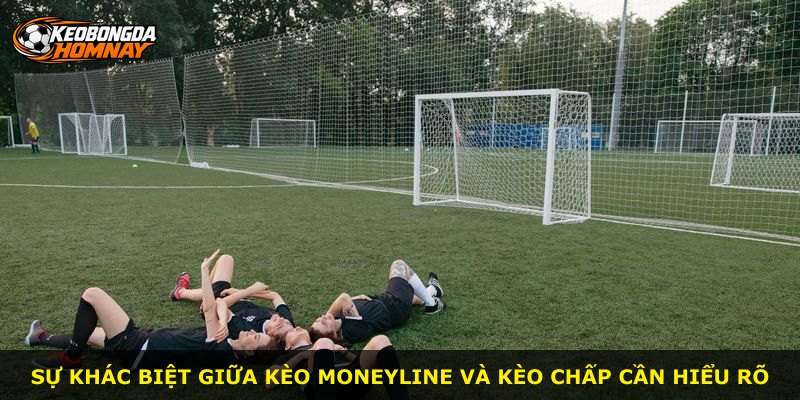 Sự khác biệt giữa kèo Moneyline và kèo chấp cần hiểu rõ