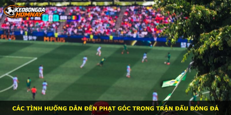 Các tình huống dẫn đến phạt góc trong trận đấu bóng đá