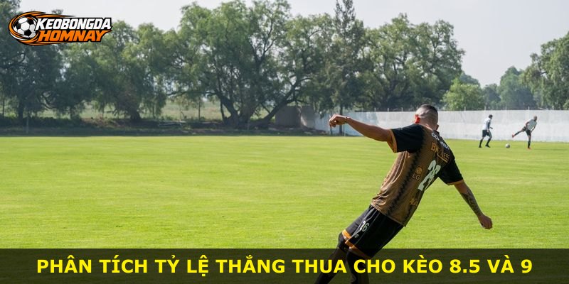 Phân tích tỷ lệ thắng thua cho kèo 8.5 và 9