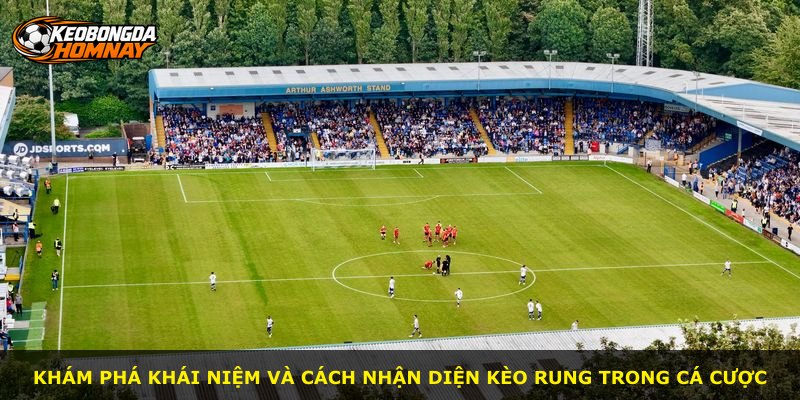 Khám phá khái niệm và cách nhận diện kèo rung trong cá cược