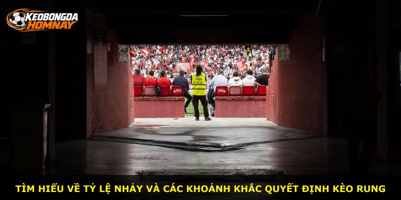 Tìm hiểu về tỷ lệ nhảy và các khoảnh khắc quyết định kèo rung