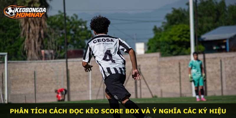 Phân tích cách đọc kèo Score Box và ý nghĩa các ký hiệu
