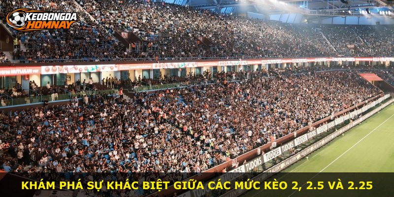 Khám phá sự khác biệt giữa các mức kèo 2, 2.5 và 2.25