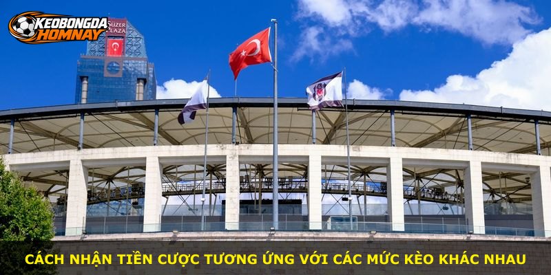Cách nhận tiền cược tương ứng với các mức kèo khác nhau