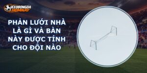 Phản Lưới Nhà Là Gì
