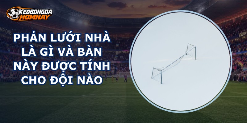 Phản Lưới Nhà Là Gì