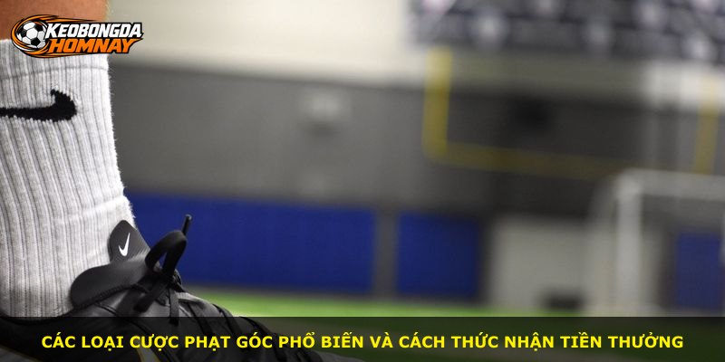Các loại cược phạt góc phổ biến và cách thức nhận tiền thưởng