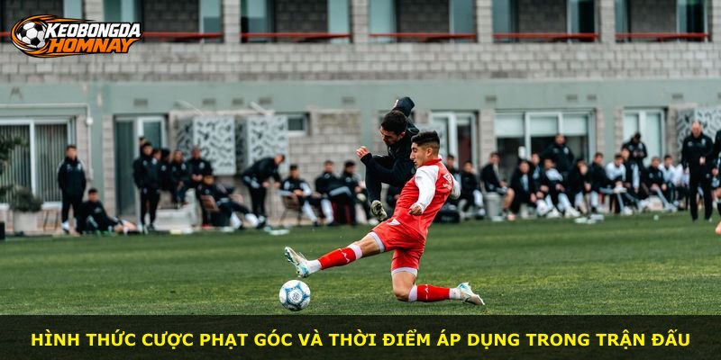 Hình thức cược phạt góc và thời điểm áp dụng trong trận đấu