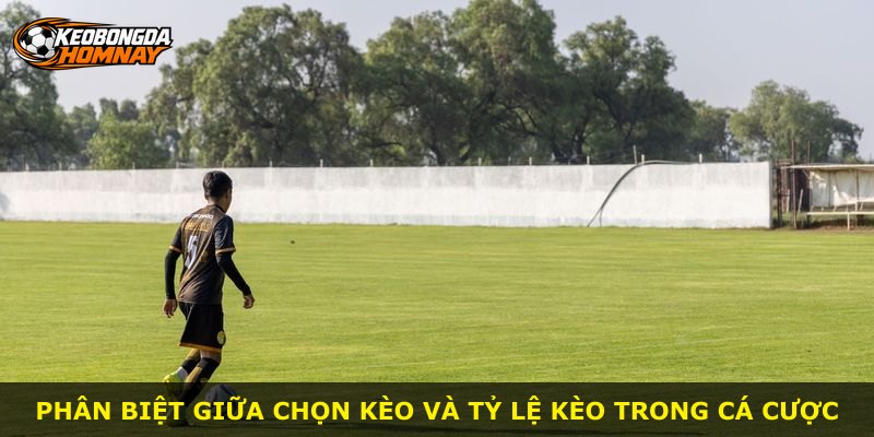 Phân biệt giữa chọn kèo và tỷ lệ kèo trong cá cược