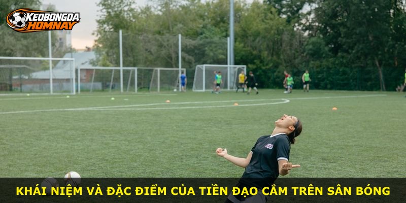 Khái niệm và đặc điểm của tiền đạo cắm trên sân bóng