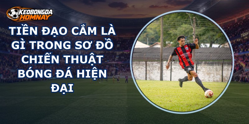 Tiền Đạo Cắm Là Gì