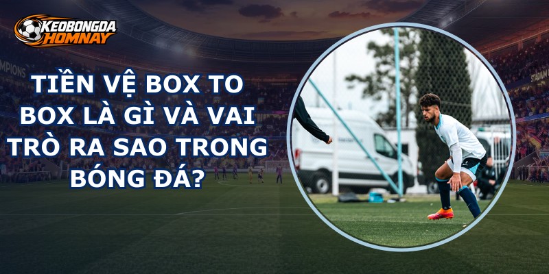 Tiền Vệ Box To Box