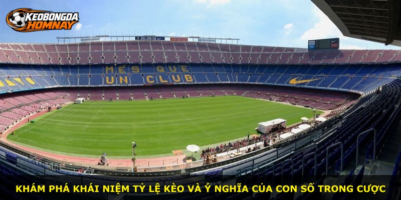 Khám phá khái niệm tỷ lệ kèo và ý nghĩa của con số trong cược