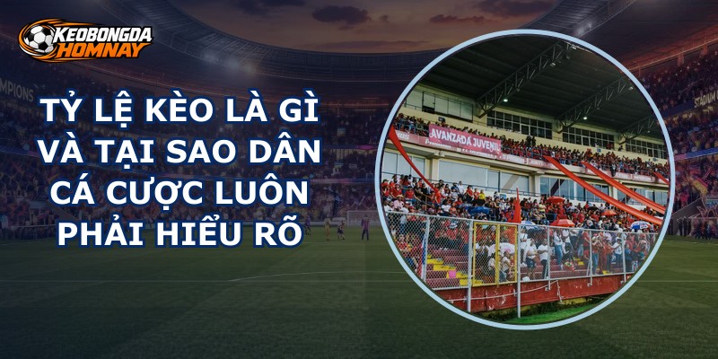 Tỷ Lệ Kèo Là Gì