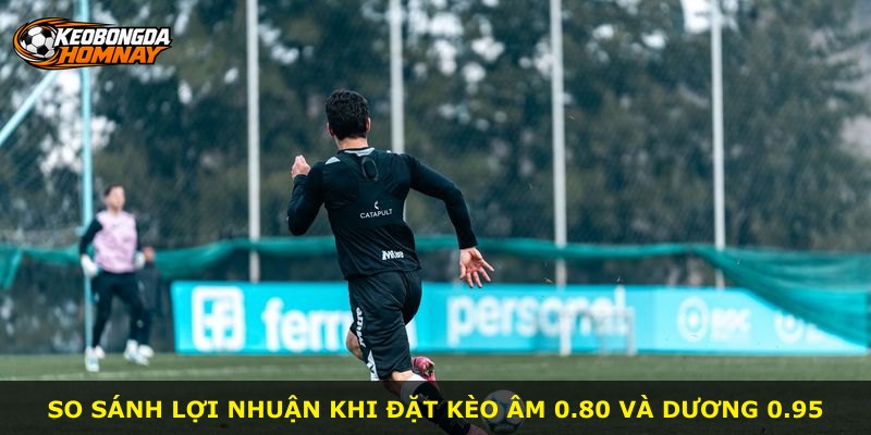 So sánh lợi nhuận khi đặt kèo âm 0.80 và dương 0.95